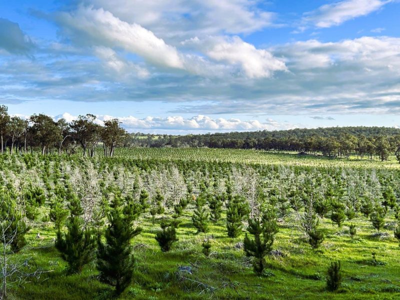 Fixed Point 3 Promo Shot